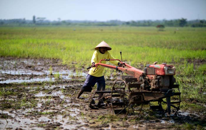 350 Ribu Unit, Bantuan Alsintan Berdampak Konkrit pada Pembangunan Pertanian